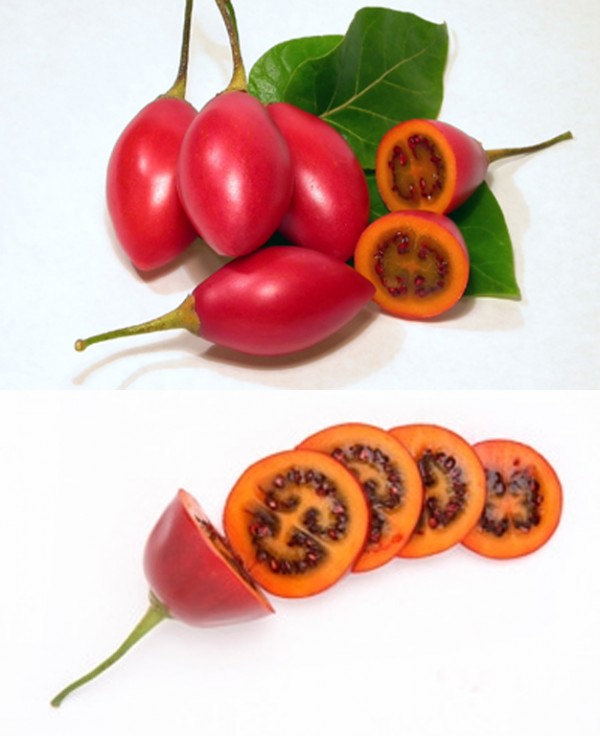 Tamarillo (fruit) 